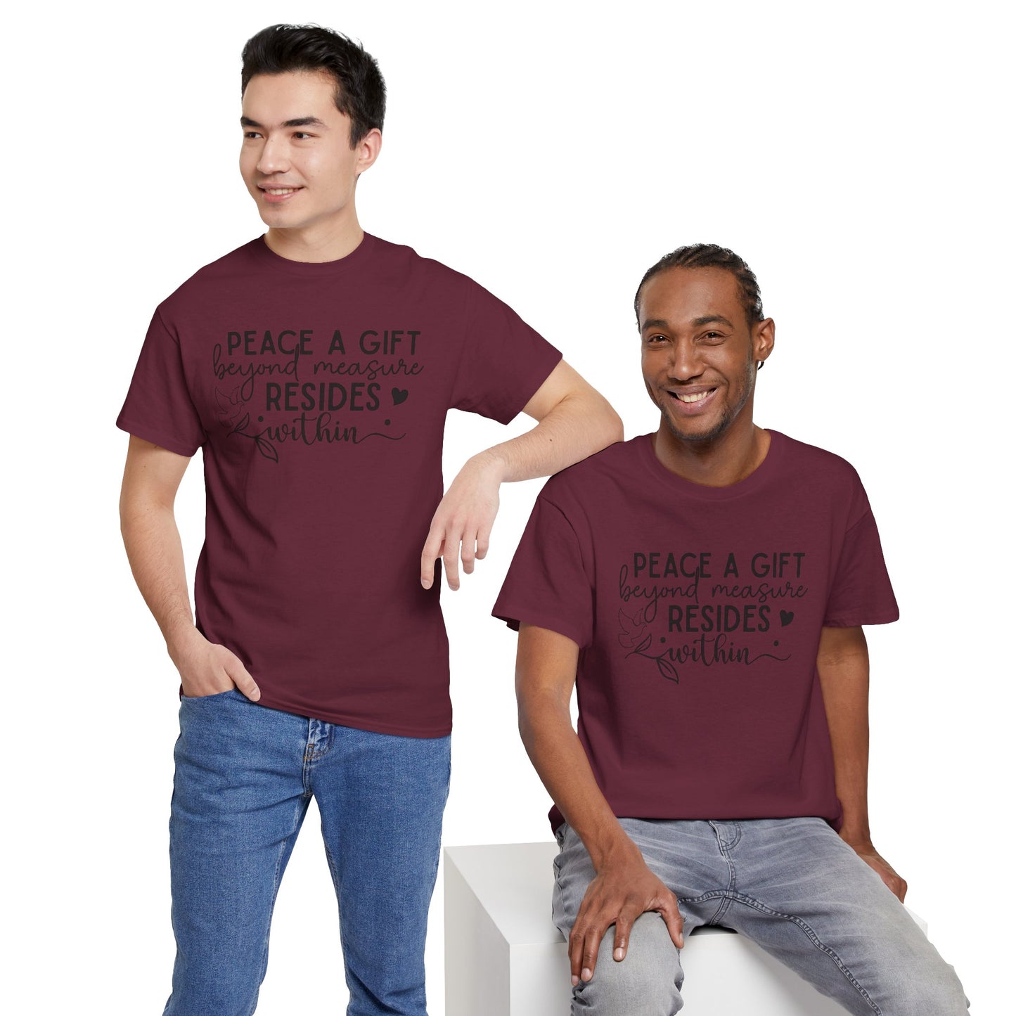 Peace A Gift T-Shirt – Inspirational Dove Graphic Tee with “Peace a Gift Beyond Measure Resides Within” Quote